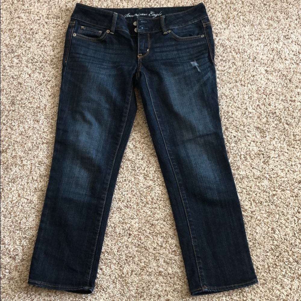 American Eagle Artist Crop pants
